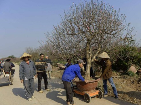 Không khí đón Tết Việt trên báo nước ngoài - ảnh 10
